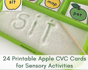 Imprimibles 24 tarjetas de palabras Apple CVC para preescolar y jardín de infantes - Descarga instantánea