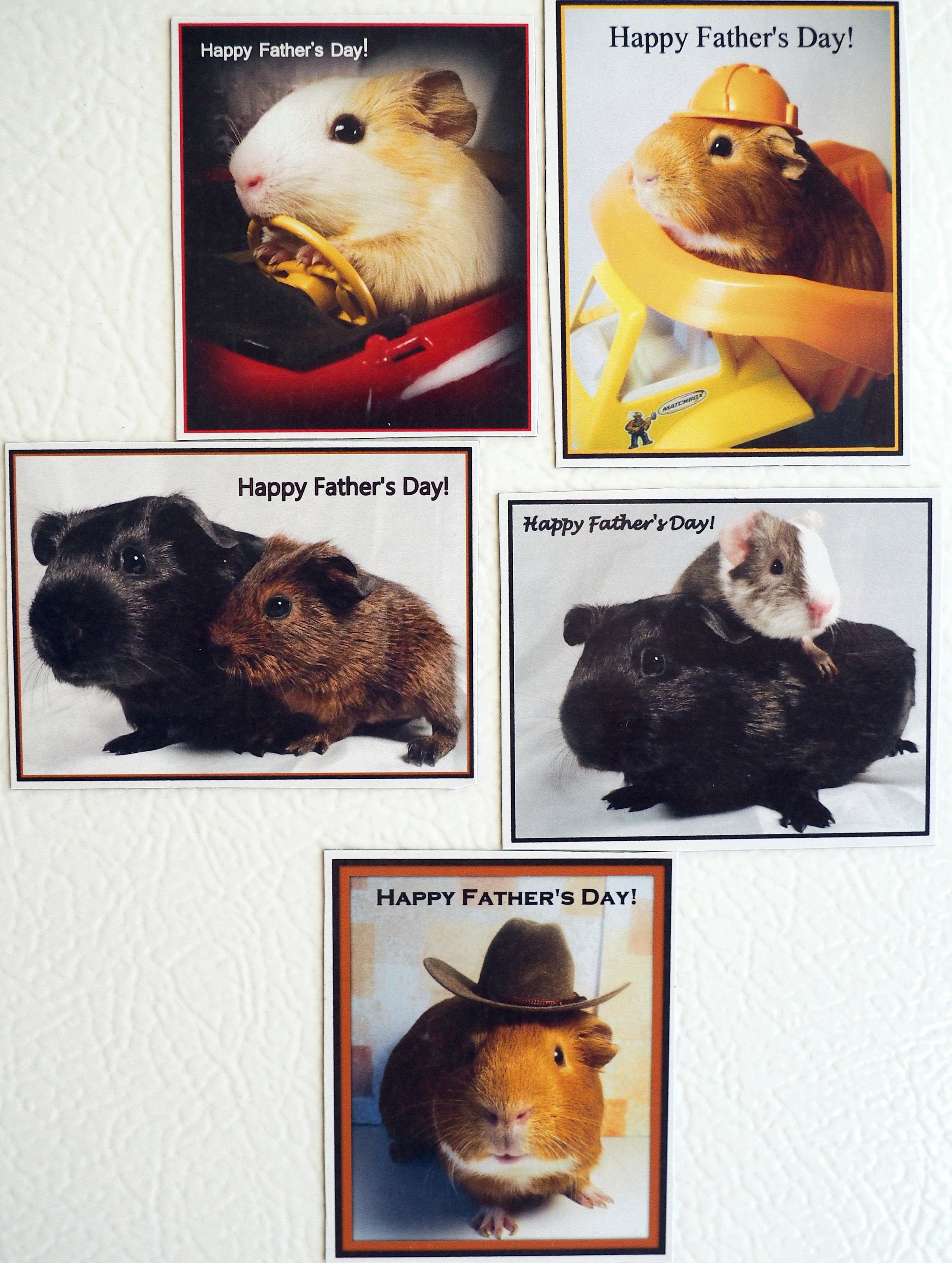 Guinea Pig FATHER'S DAY Magnets - Unique 5pc Set - Cowboy