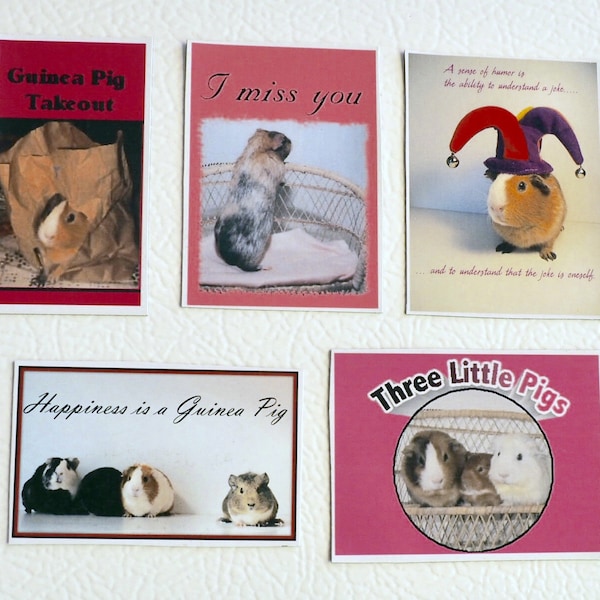 Kitsch Extravaganza GUINEA PIG MAGNET 5pc Set Joker Takeout and More - Free Shipping