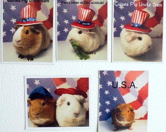 Guinea Pig Uncle Sam - Freedom Is Delicious! - Unique patriotic magnet set July 4 FOURTH OF JULY