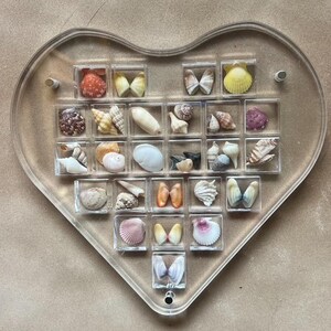 May include: A heart-shaped clear acrylic display case with 25 compartments filled with various seashells and butterfly wings. The shells are in shades of white, brown, pink, and orange. The butterfly wings are white and black.