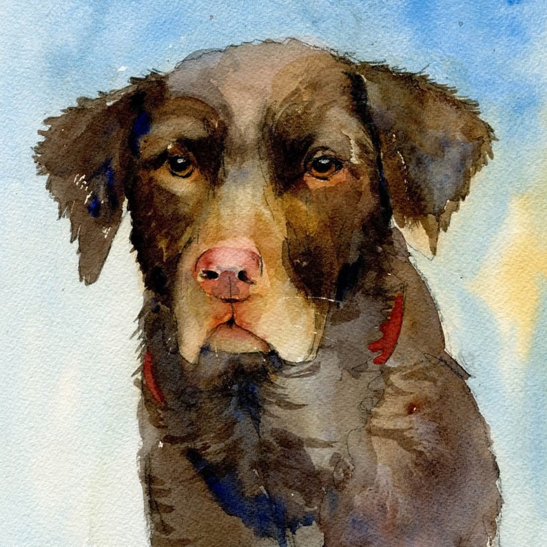 Pet Portraits Gifts for Dog Lovers Dog Portraits Dog Art Etsy