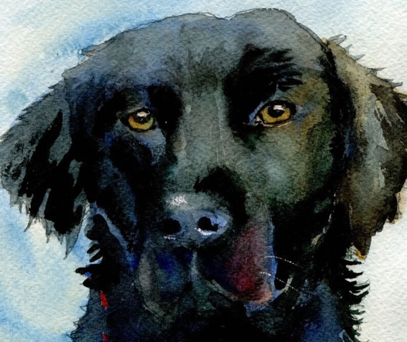 Pet Portraits Gifts for Dog Lovers Dog Portraits Dog Art Etsy