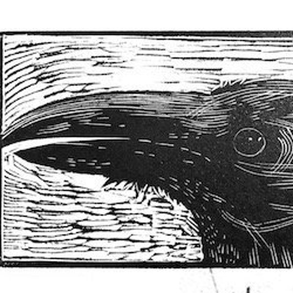 RAVEN - Wood Engraving Print hand pulled