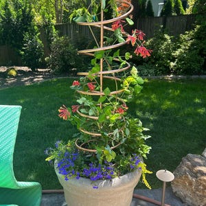 Handmade Copper Plant Trellis: Coiled Climbing Vine Support - Indoor and Outdoor