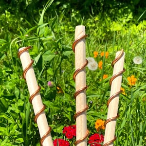 May include: Three wooden stakes with copper wire wrapped around them in a spiral pattern. The stakes are in a garden setting with green grass and flowers.