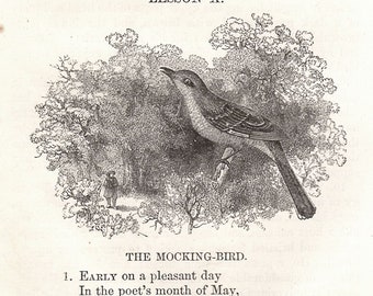 Mockingbird 1860 Poetry Text Woodblock Jason R. Drake School Lesson Book Bird Illustration
