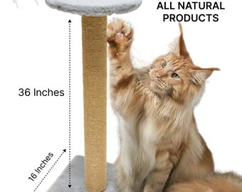 EcoPetsUSA Cat Scratching Post Tower with Seat 36 Inch Tall Natural Sisal Rope Made in USA