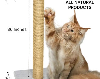 EcoPetsUSA Luxury Cat Scratching Post Tower 36 Inch Tall Natural Sisal Rope Made in USA