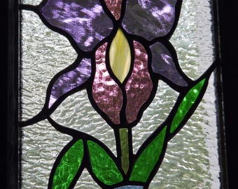 Stained Glass Iris Flower Window