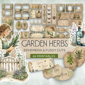 Fussy Cuts Herbs, set di abbellimenti Fussy Cut Junk Journal, effimeri stampabili botanici primaverili vintage, download digitale di libri d'arte,