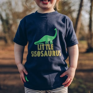 Brother or Sister Dinosaur T shirt Set