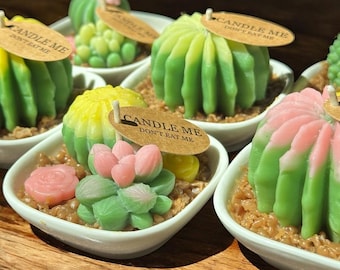 Mini candela cactus: decorazione succulenta in cera di soia fatta a mano