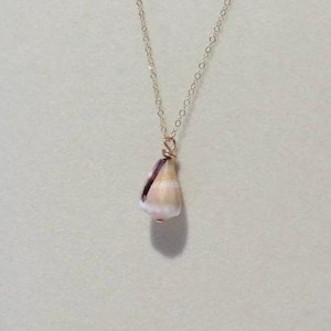 Handmade Hawaiian Cone Shell Necklace