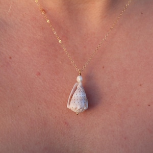 May include: A delicate gold necklace featuring a pendant made from a small, white seashell with brown speckles. The seashell is paired with a small, round pearl. The necklace is a simple, elegant piece of jewelry.