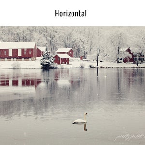 a white swan swimming in a lake next to a red house