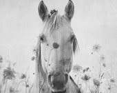 HORSE in the FLOWERS . Horse Wall Art . Double Exposure Print . Black and White Horse Art . Farmhouse Art . Living Room Art
