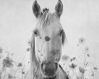 HORSE in the FLOWERS . Horse Wall Art . Double Exposure Print . Black and White Horse Art . Farmhouse Art . Living Room Art