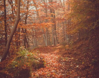 AUTUMN WINDING PATH . Rustic Autumn Art . Moody Fall Landscape . Mountain Landscape