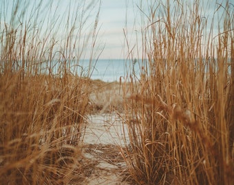 BEACH PATH . Coastal Wall Art . Seaside Landscape Print . Beach House Art