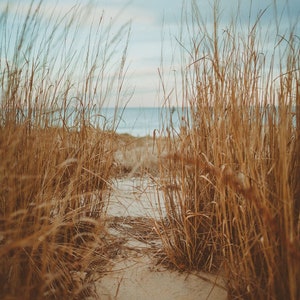 a sandy path leading to the ocean through tall grass