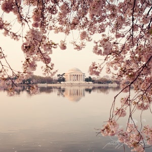 a large body of water with a monument in the background