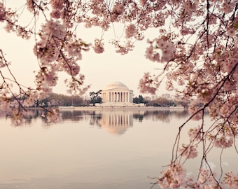 JEFFERSON MEMORIAL . Cherry Blossom Art . Washington DC Photo . Flower Art . Travel Print . Pink Art