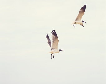 SEAGULLS . Ocean Wall Art . Bird Print . Pastel Nature Art . Coastal Decor . Beach House Wall Art