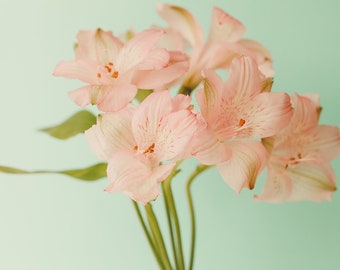 Pink Flowers Photograph: Teal Botanical Wall Art