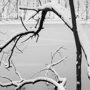 SNOW HEART . Snowy Lake Art . Lake House Decor . Winter Landscape Art . Winter Branch Art Print