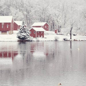 WINTER SWAN LAKE . Lake House Art . Christmas Art Print . Swan Art . Winter Photography . Red Barn Art image 3