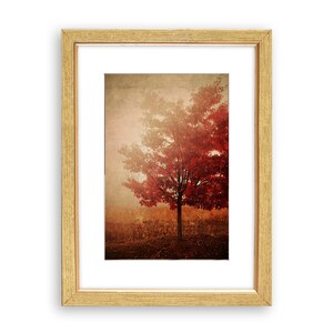 RED AUTUMN TREE . Tree Print . Autumn Landscape Art . Red Art . Rustic Farmhouse Decor . Woodland Wall Art image 2