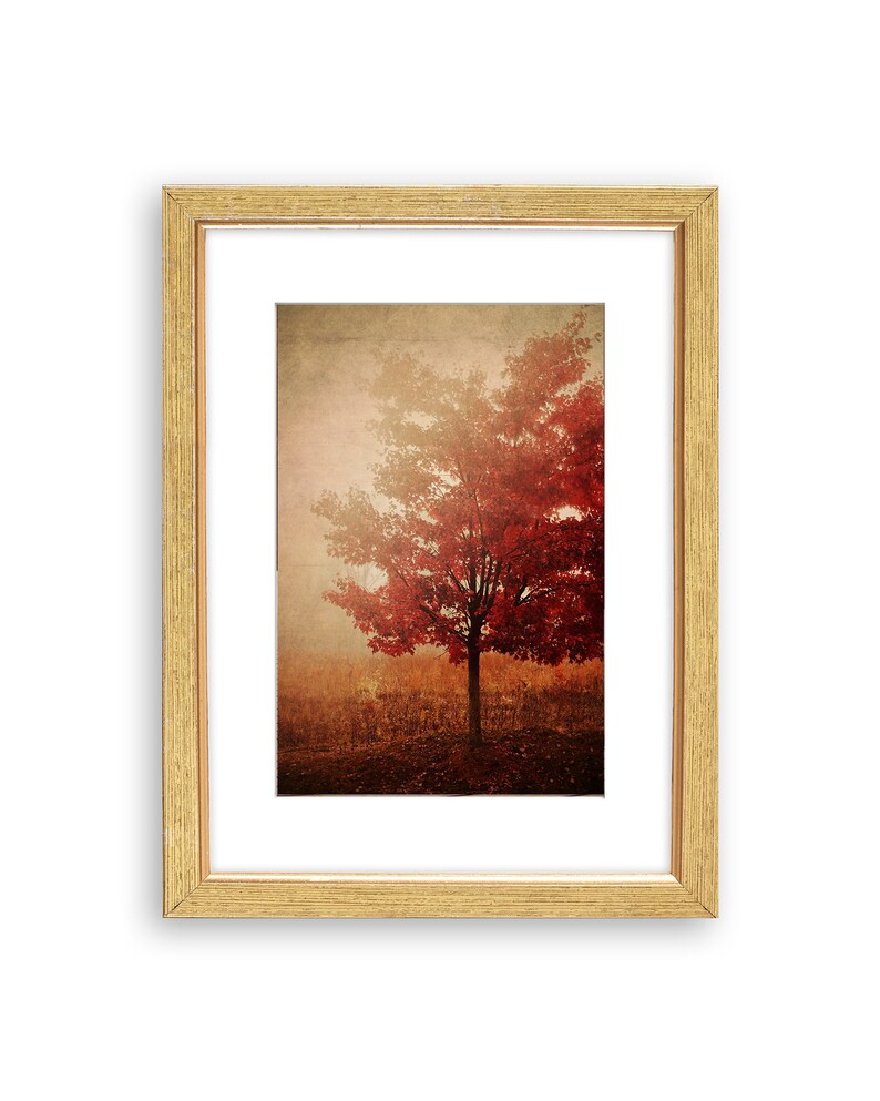 RED AUTUMN TREE . Tree Print . Autumn Landscape Art . Red Art . Rustic Farmhouse Decor . Woodland Wall Art image 2