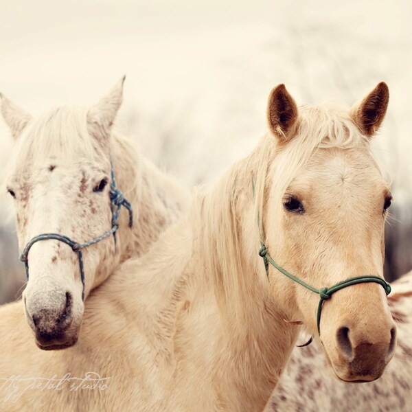 TWO HORSES . Horse Art Print . Woodland Wall Art, Rustic Farmhouse Decor . Muted Tone Art