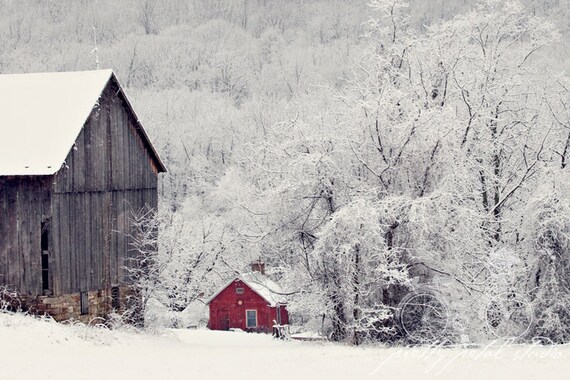 Original Photography Print Leaves in Snow Winter Scene Printable Art Rust Red Landscape Instant Download Christmas Decor Fine Art