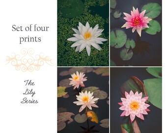 WATERLILY FLOWERS . Lily Flower Art . Set of Four Prints . Flower Wall Art . Botanical Decor . Collage Art . Pink Art