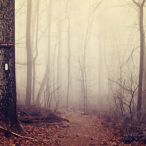 Impresión artística del sendero brumoso de los Apalaches: decoración de bosques brumosos