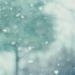 SNOW and TREE . Snowflake Photo . Abstract Snow Art . Winter Landscape . Blue Art . Woodland Tree Art . Square Art . Abstract Wall Art