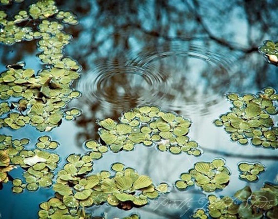 Water Reflections Art Print: Blue Green Abstract Nature Photography