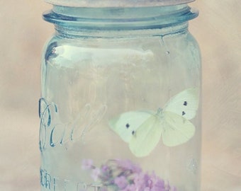 BUTTERFLY JAR . Whimsical Butterfly Art . Cottage Home Decor . Light and Airy Kitchen Wall Art