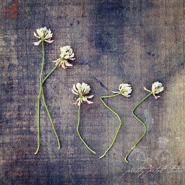 KISS . Wildflower Art . Rustic Farmhouse Art . Clover Flower Print . Love Art Print . Moody Flower Art . Romantic Art