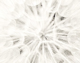 BLACK and WHITE DANDELION . Dandelion Wall Art . Flower Print . Black and White Flower Art . Nursery Wall Art