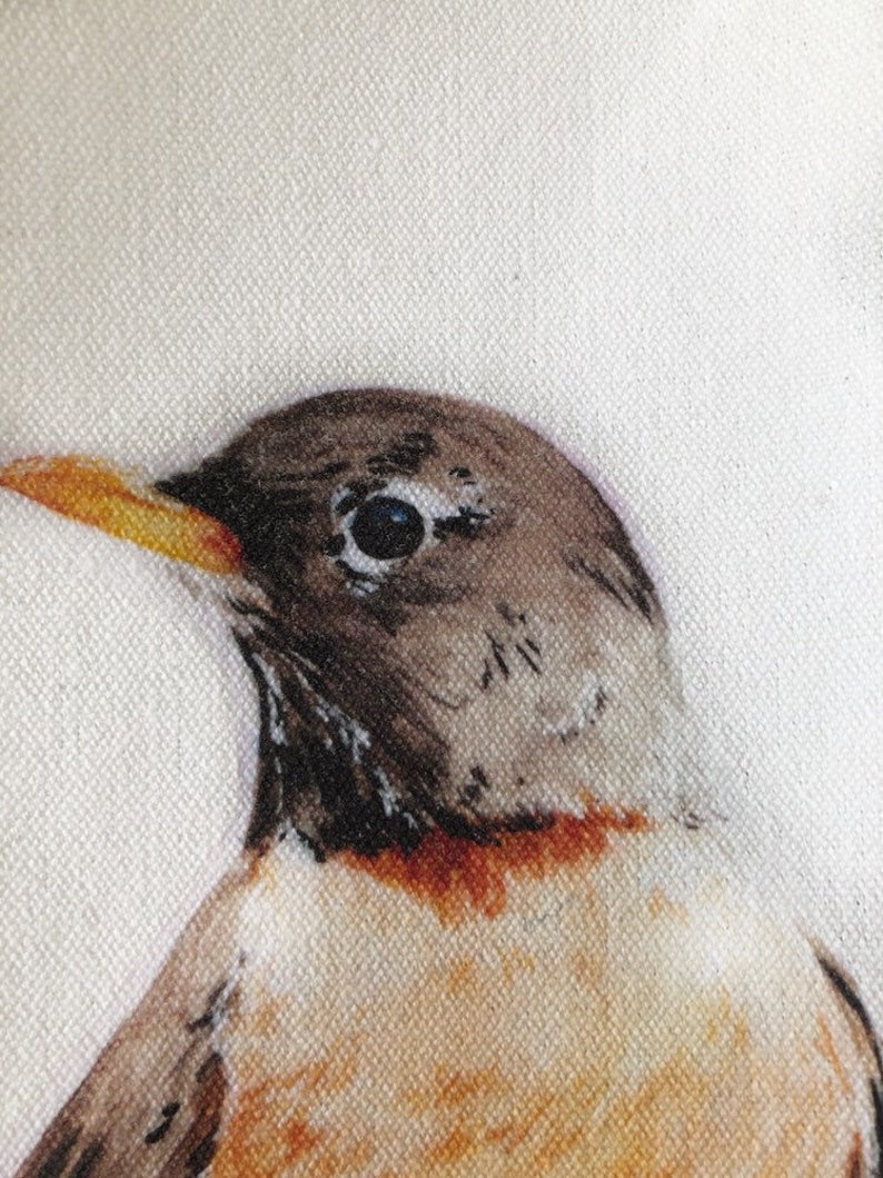 Reusable 100% Canvas Tote Bag with Robin Watercolor art by Emma Pyle, great gift for bird lover image 2