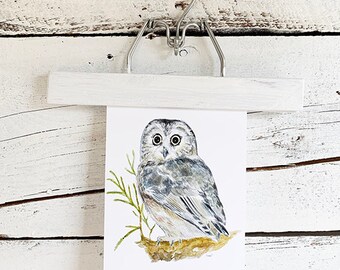 Watercolor art print of Saw-whet owl in 5" by 7" or 8" by 10" frame ready.  Packaged for safe travels.