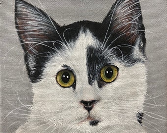 One Pet Portrait Painting Of Cat Dog Art 6"x6" Square Canvas by SL Artist Sharon Lamb