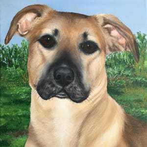 Pet Portrait Painting Custom Pet 8x10 Canvas Art Hand Painted by Sharon Lamb Pet Loss Gift Certificate Pet Lovers Custom Painting image 7