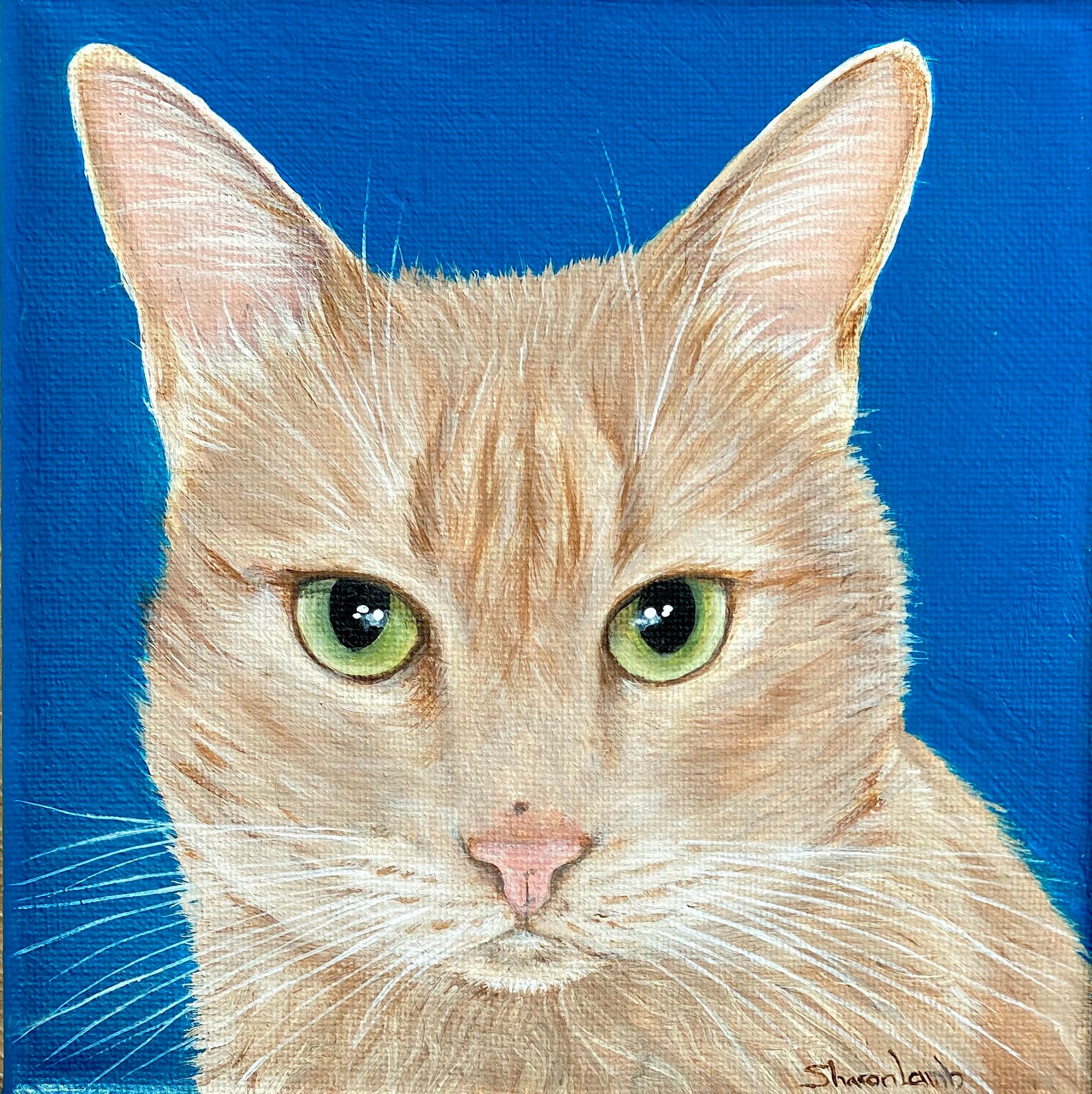 Canvas Pet Painting Hand Painted Custom Portrait Pet Art Etsy