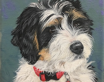 Custom Pet Painting Canvas Portrait 6x6 Portrait Pet Memorial Hand Painted by Sharon Lamb SL