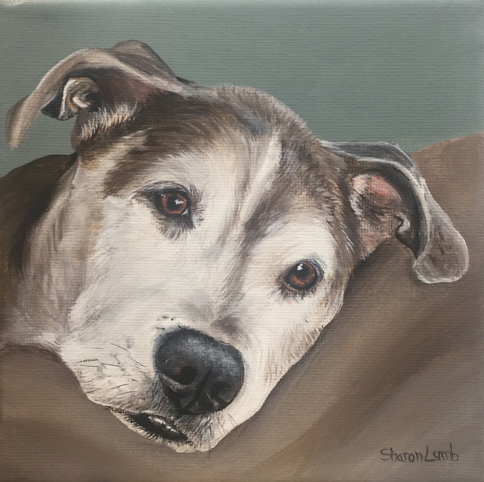 Canvas Pet Painting Portrait Custom Memorial Art Hand Painted | Etsy