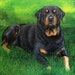 Avatar de sharonlamb